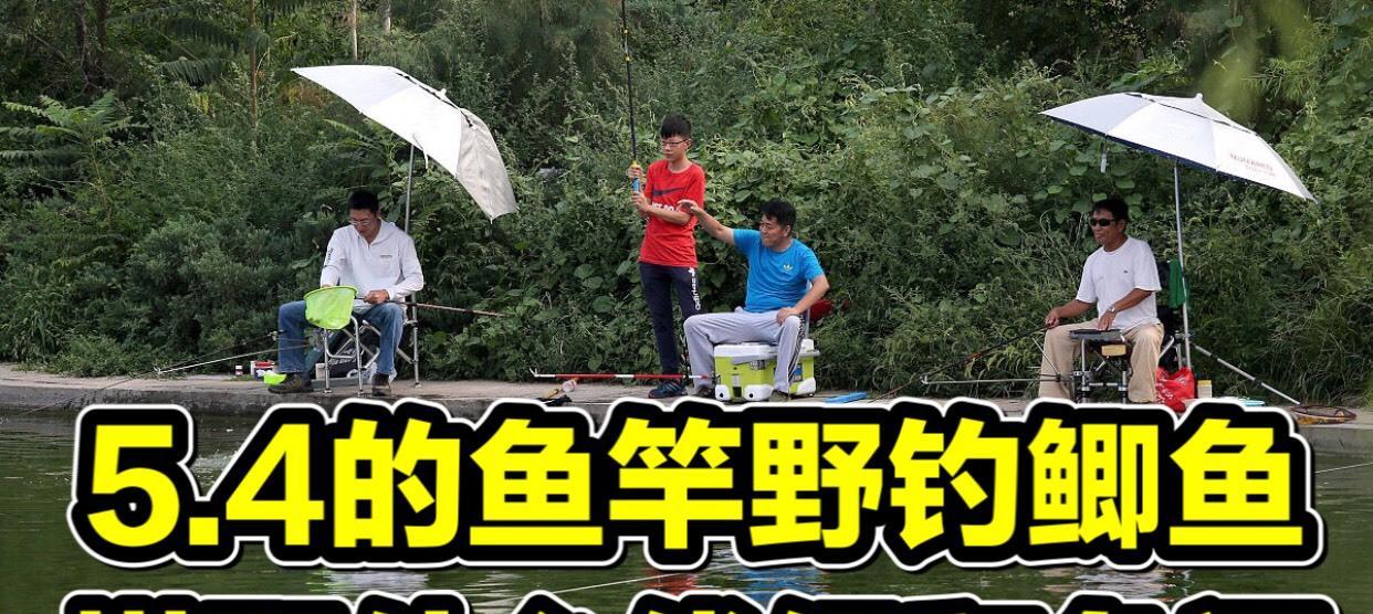 钓鲤鱼线组和鱼漂搭配技巧大全（打造完美的钓鲤组合，让你钓到满满的收获！）  第2张