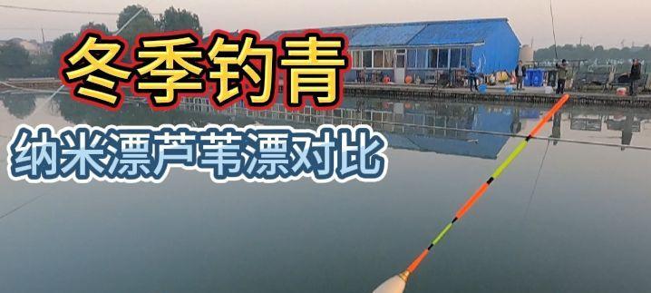 钓鲢鳙浮漂调漂方法与技巧（掌握调漂技巧，提升钓鲢鳙成功率）  第2张