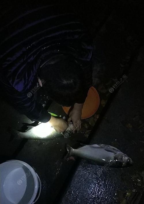 翻板钩钓鲢鱼技巧（掌握这1个，成为鲢鱼钓鱼高手！）  第2张