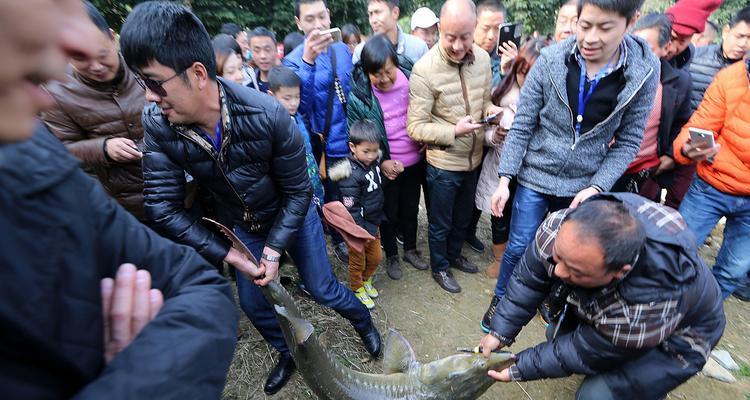 钓青鱼甩大鞭抛竿技巧（技巧纵横捕获好青鱼）  第1张