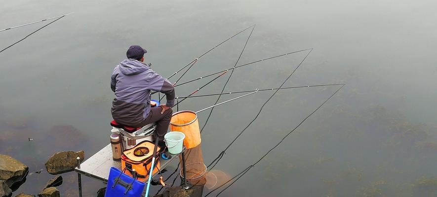 钓青鱼甩大鞭抛竿技巧（技巧纵横捕获好青鱼）  第2张