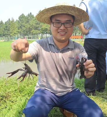 钓野生小龙虾的方法和技巧（掌握钓野生小龙虾的秘诀，轻松捕获美味佳肴）  第3张