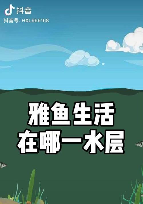 探秘钓野生雅鱼的技巧与方法（挑战自我，享受钓鱼的乐趣）  第2张