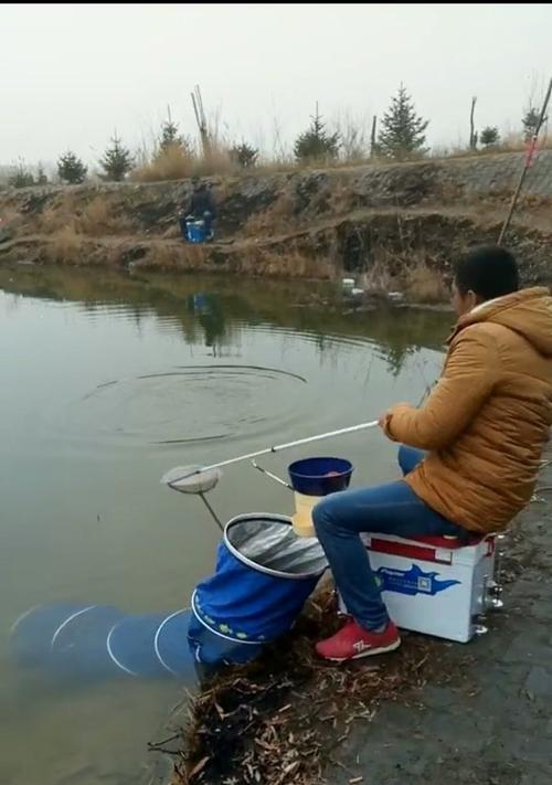 钓鱼技巧（钓鱼技巧的关键）  第3张