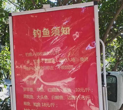 钓鱼五张牌的高级技巧（打造绝佳牌局，致胜无尽可能性）  第2张