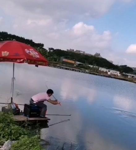 钓鱼拔河的技巧与正确姿势（掌握正确姿势和技巧，轻松玩转钓鱼拔河）  第1张