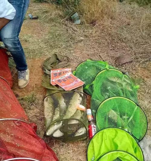 钓鱼避坑大全（揭秘钓鱼中常见陷阱及应对策略）  第2张