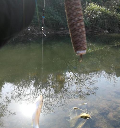 钓鱼达人的自我保护技巧（钓鱼避险必备，避免自伤的15个妙招）  第3张