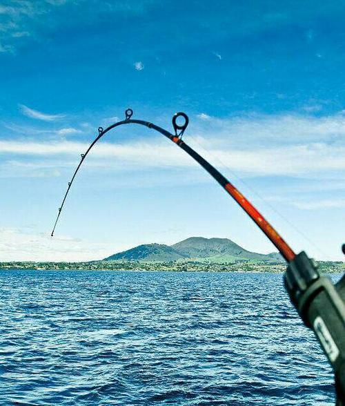 钓鱼技巧（提升钓鱼成功率的关键要素）  第1张