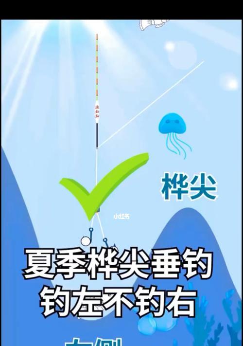 室内钓鱼场钓鱼技巧（掌握技巧，尽享垂钓乐趣）  第3张