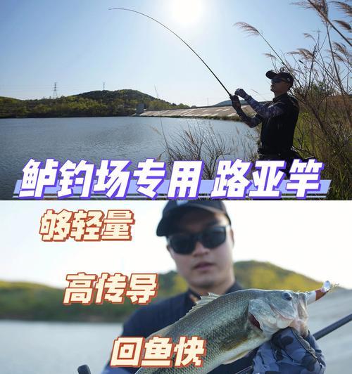 钓鱼技巧大全（掌握拉竿技巧，享受美味鱼获）  第1张