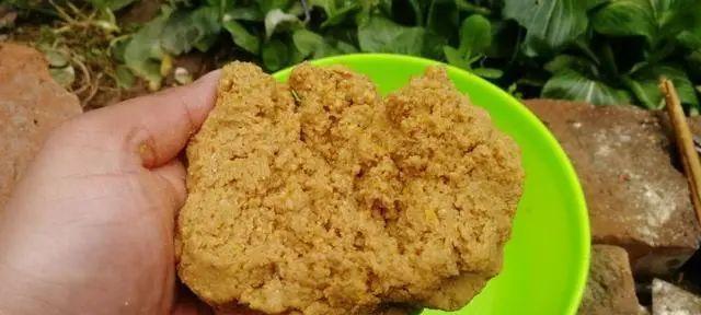 钓鱼搓饵的使用时机和技巧（钓鱼搓饵，让你钓上大鱼的秘诀）  第3张