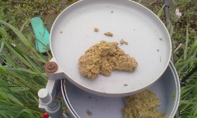 钓鱼打窝的小技巧（提升钓鱼成功率的秘诀）  第2张