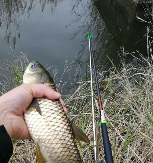 秋季野外小河钓鱼打窝的技巧与方法（如何在秋季小河中提高钓鱼效果？）  第1张