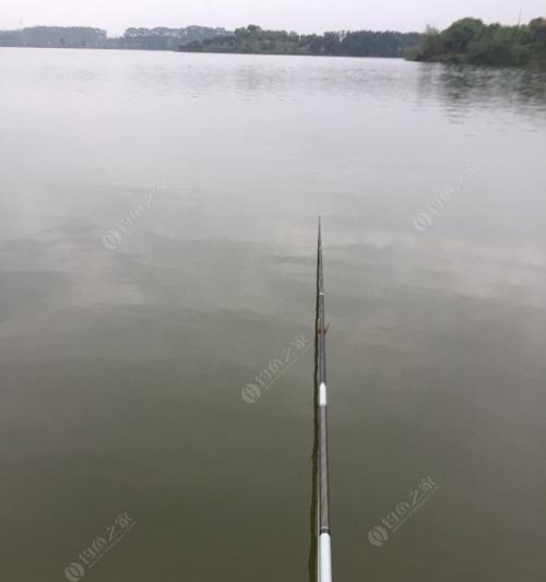 钓鱼打窝技巧与调漂秘笈（窥探专家级调漂技巧，提升钓鱼打窝效果）  第1张