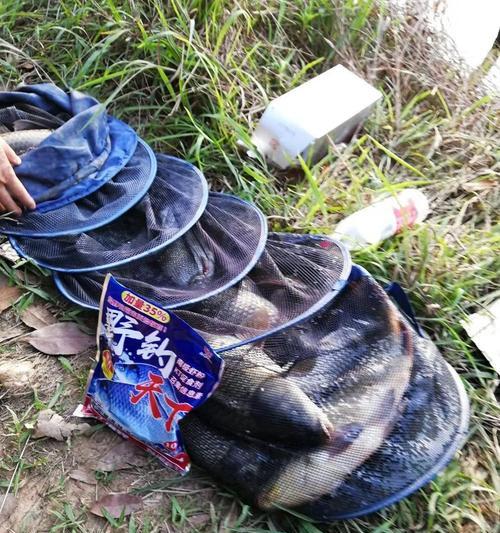 钓鱼打重窝（打造专属渔场，瞄准丰收）  第3张