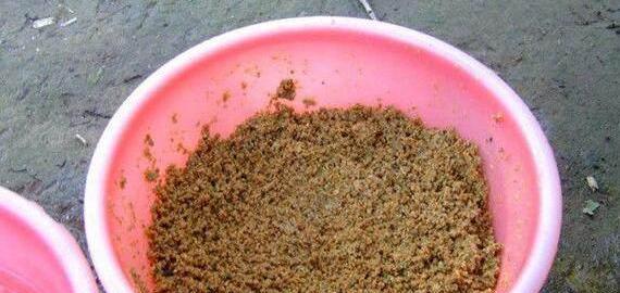 钓鱼高人的选窝技巧（揭秘钓鱼高手如何选择最佳渔位）  第2张