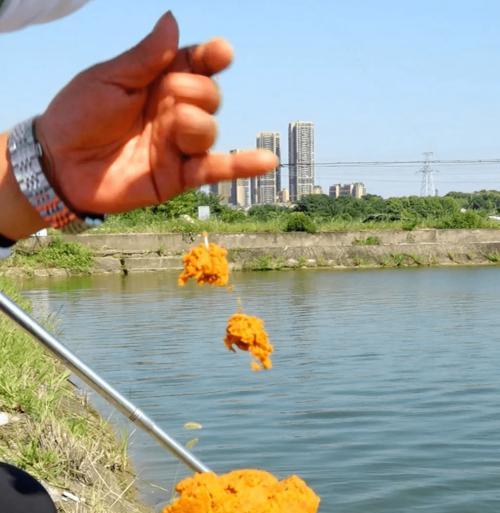 钓鱼高手教你小技巧（提升钓鱼技巧的关键点）  第3张