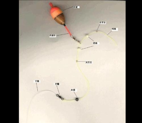 钓鱼技巧全解析（掌握钓鱼的每个阶段，成为钓鱼高手）  第2张