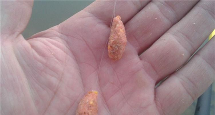 钓鱼公式与技巧大揭秘（捕获丰富鱼群的利器）  第2张