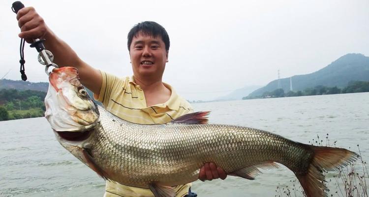 钓鱼挂饵技巧大揭秘（掌握这些技巧，让你的钓鱼更加得心应手）  第1张