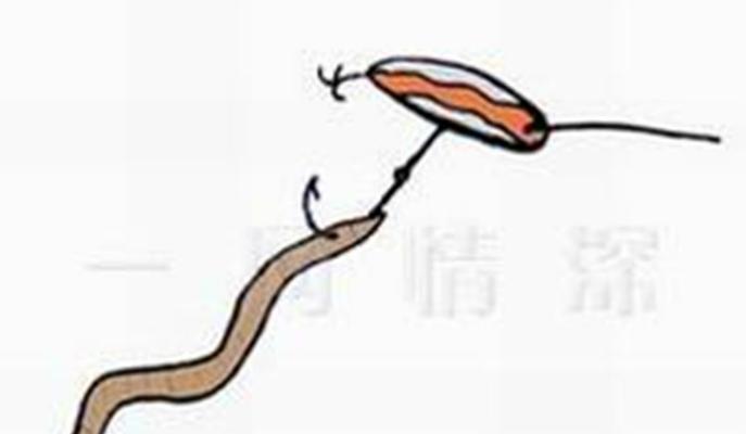 钓鱼挂钩技巧大全（掌握钓鱼挂钩技巧，提高钓鱼成功率）  第2张