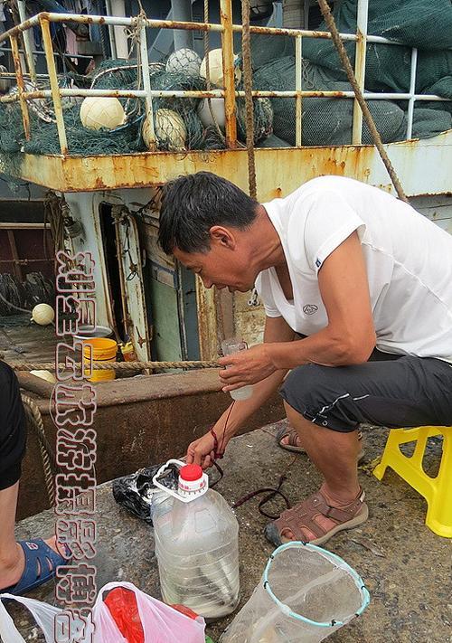 钓鱼挂面粉的技巧与窍门（掌握钓鱼挂面粉，成为钓鱼高手）  第2张
