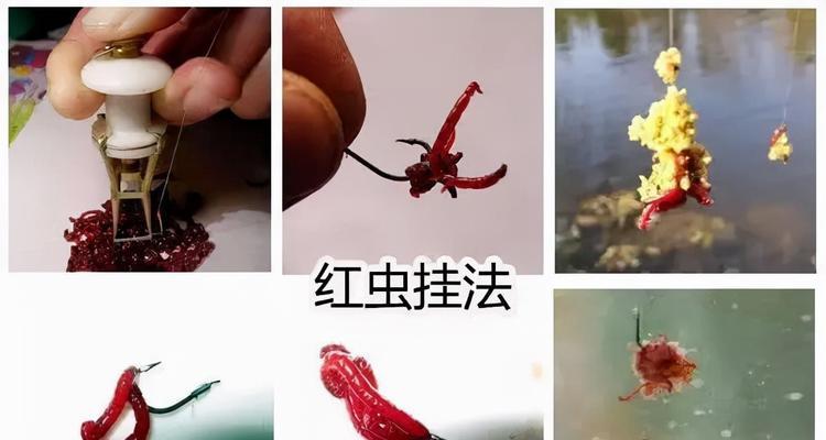 钓鱼红虫的挂钩技巧（掌握技巧，提升钓鱼效果）  第1张