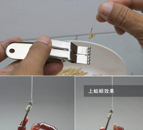 钓鱼红虫的挂钩技巧（掌握技巧，提升钓鱼效果）  第2张