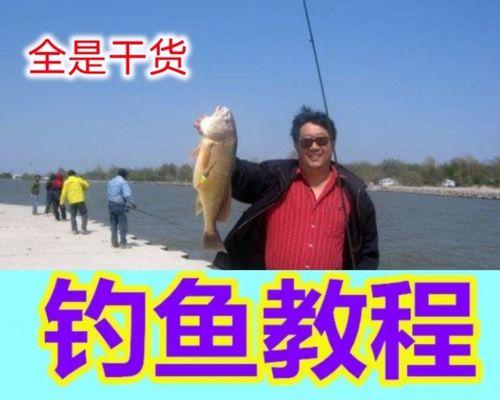 掌握钓鱼基本技巧，成为钓鱼高手（简易教程帮你快速入门，享受钓鱼乐趣）  第3张