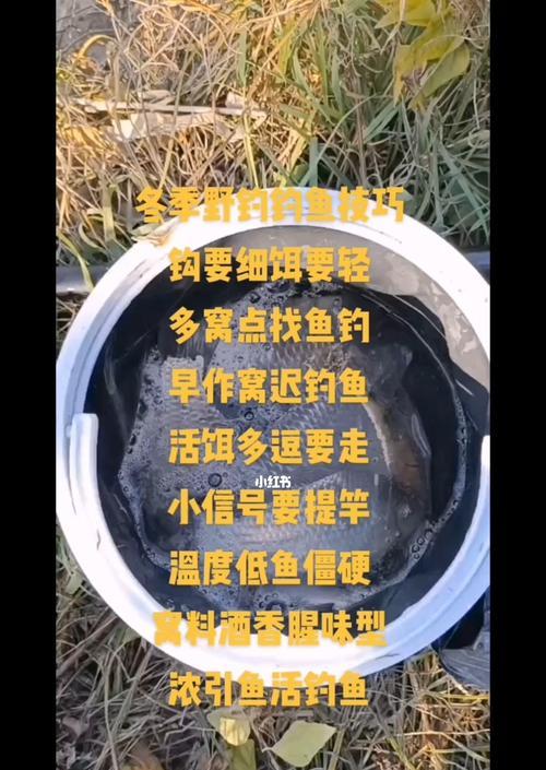 钓鱼技巧十三讲——成功捕鱼的秘籍（提升钓鱼技术，轻松捕获丰收）  第2张