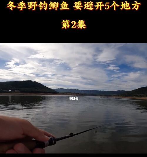 钓鱼技巧实战指南（掌握技巧成为高手）  第1张