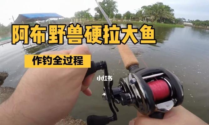 钓鱼技巧教学——掌握钓鱼的诀窍（从入门到精通，打造钓鱼高手）  第1张