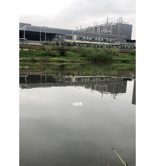 探秘陌生水库钓鱼技巧（挑战新环境，乐享捕获的乐趣）  第1张