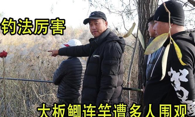 长竿短线组合（提升钓鱼技巧，掌握长竿短线组合的关键）  第2张