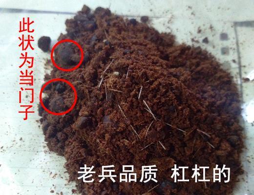 钓鱼技巧新手入门小药材，让你钓鱼更得心应手（掌握这些小药材，成为钓鱼高手不再遥远）  第2张