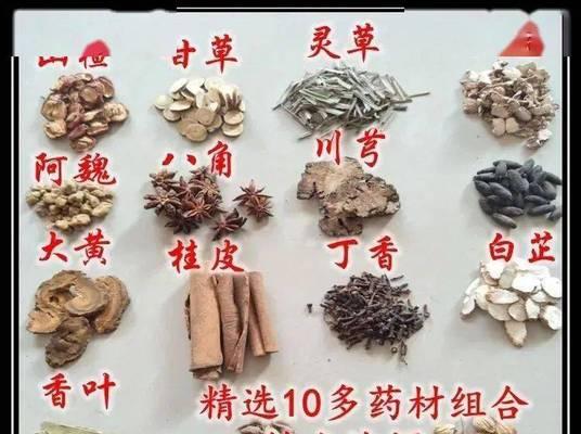 钓鱼技巧新手入门小药方（学会这些技巧，让你成为钓鱼高手！）  第1张