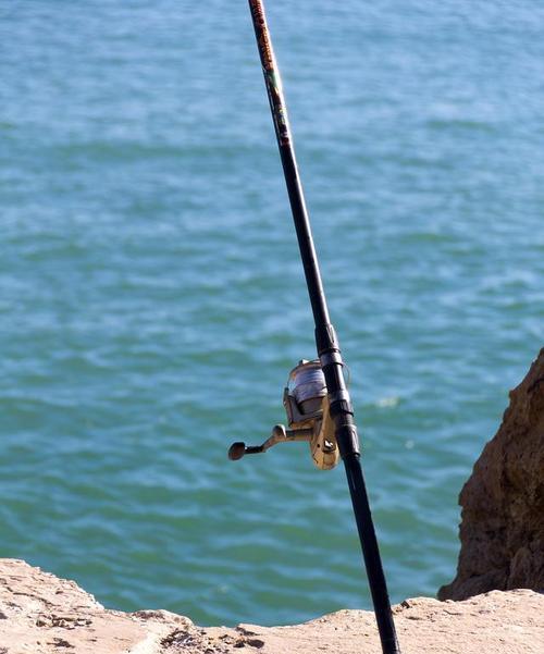 钓鱼技巧新手入门（如何选择适合新手的鱼竿及其长度）  第2张