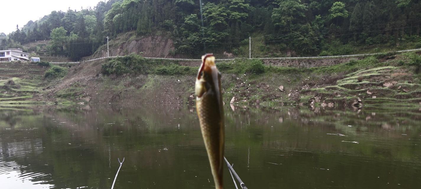 钓鱼技巧大揭秘（挂钩技巧让你成为野钓高手）  第2张