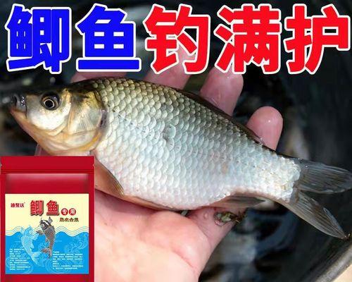 钓鱼技巧大揭秘——野钓鲫鱼鲤鱼饵料配方（提升钓鱼成功率，享受钓鱼的乐趣）  第2张