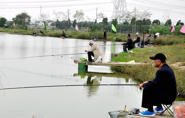 野钓鲤鱼技巧教学（钓鲤鱼必备的打窝技巧）  第3张