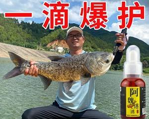 野钓鲶鱼的技巧与配方（掌握钓鱼技巧，轻松捕获美味鲶鱼）  第2张