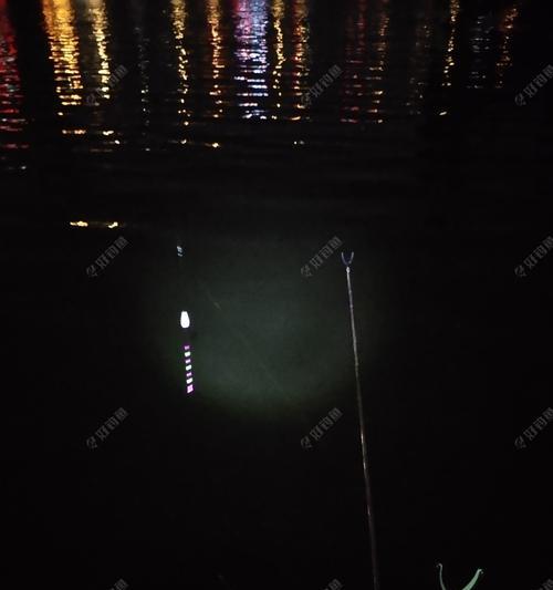 夜钓技巧之电子漂的调整方法（掌握关键技巧让夜钓更顺利）  第3张