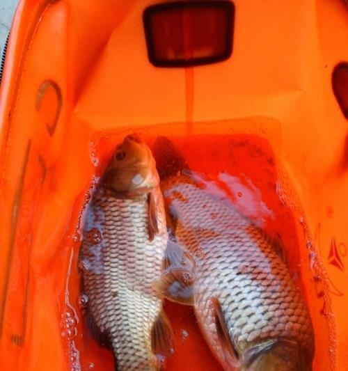 深水钓鱼技巧（钓鱼技巧之选择钓点和鱼位）  第2张