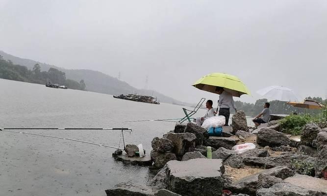 钓鱼技巧（选择合适的钓位和钓饵，提升钓鱼效果）  第1张
