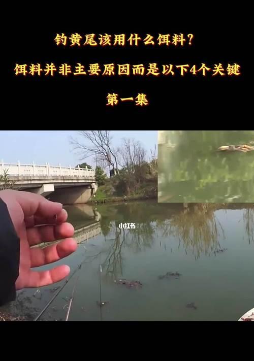 日本钓鱼技巧（钓鱼达人分享经验，助你捕获丰富的渔获）  第3张
