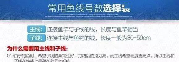 选择合适的鱼钩大小技巧（提高钓鱼成功率的关键）  第2张