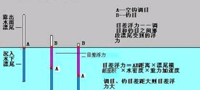 选择合适的鱼钩大小技巧（提高钓鱼成功率的关键）  第3张