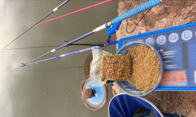 钓鱼人最实用的小技巧（提高钓鱼成功率的关键是细节把握）  第2张
