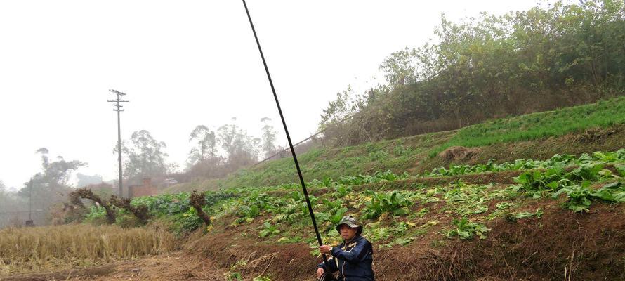 钓鱼高手的抬杆技巧（提高钓鱼成功率的实用技术）  第3张